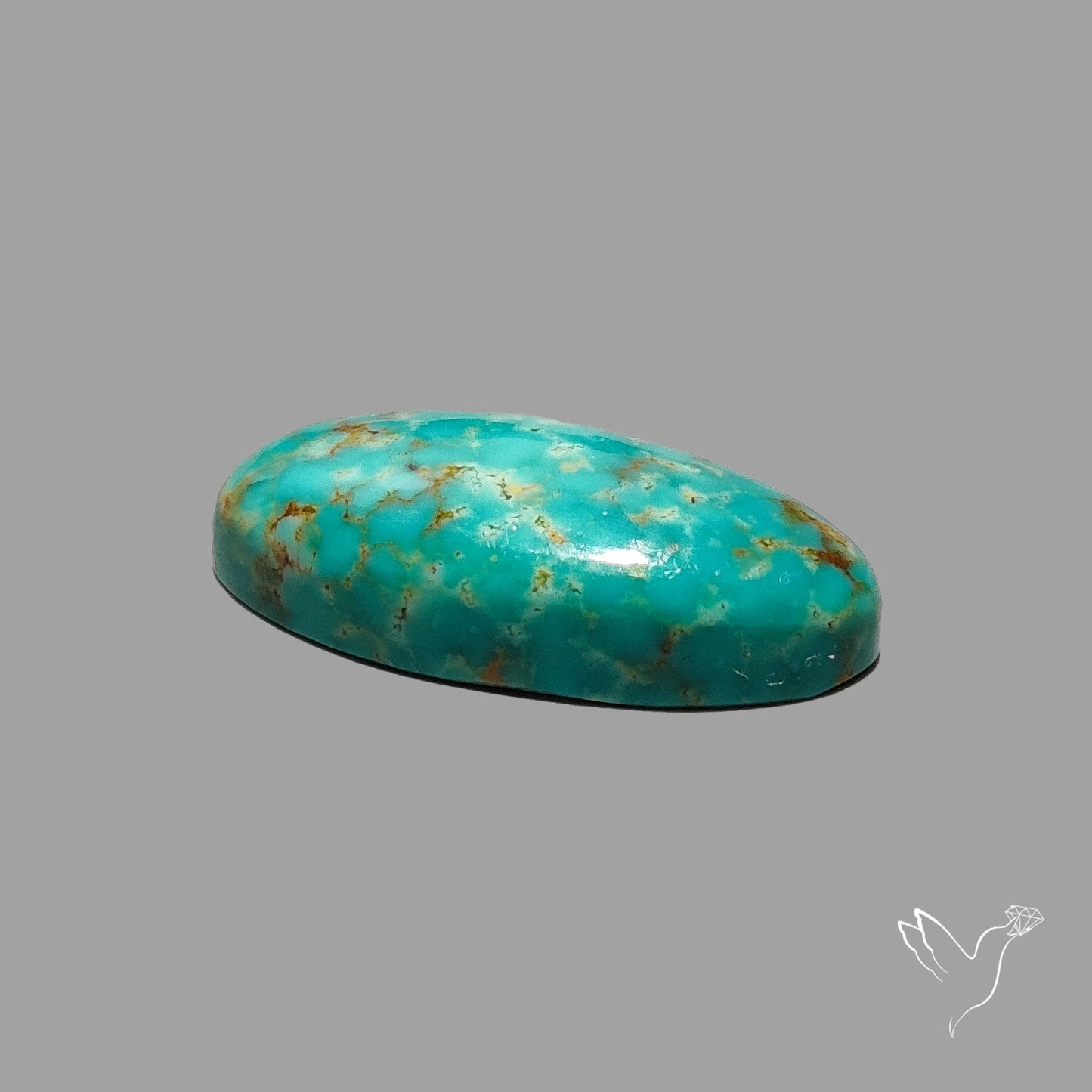 Rare Arizona Patogonia Turquoise Cabochon