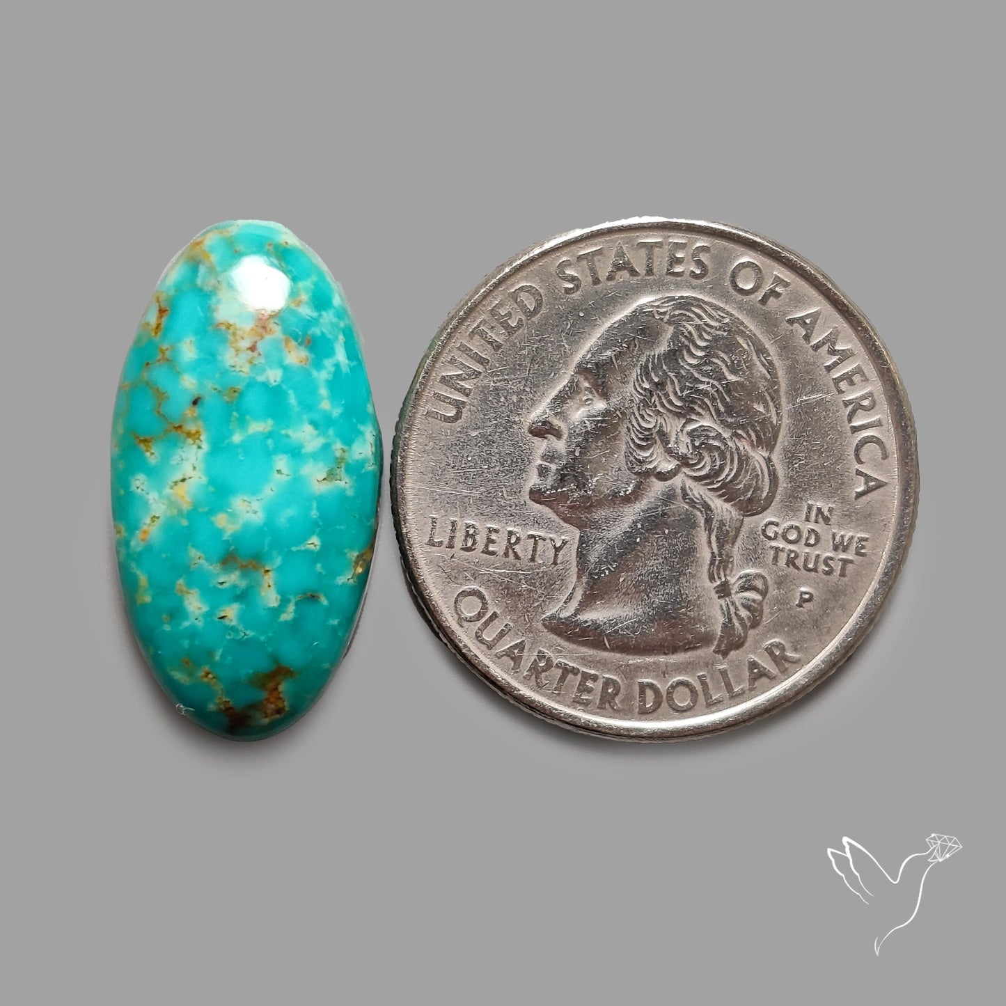 Rare Arizona Patogonia Turquoise Cabochon
