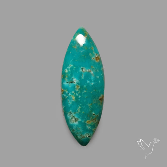 Rare Arizona Patogonia Turquoise Cabochon