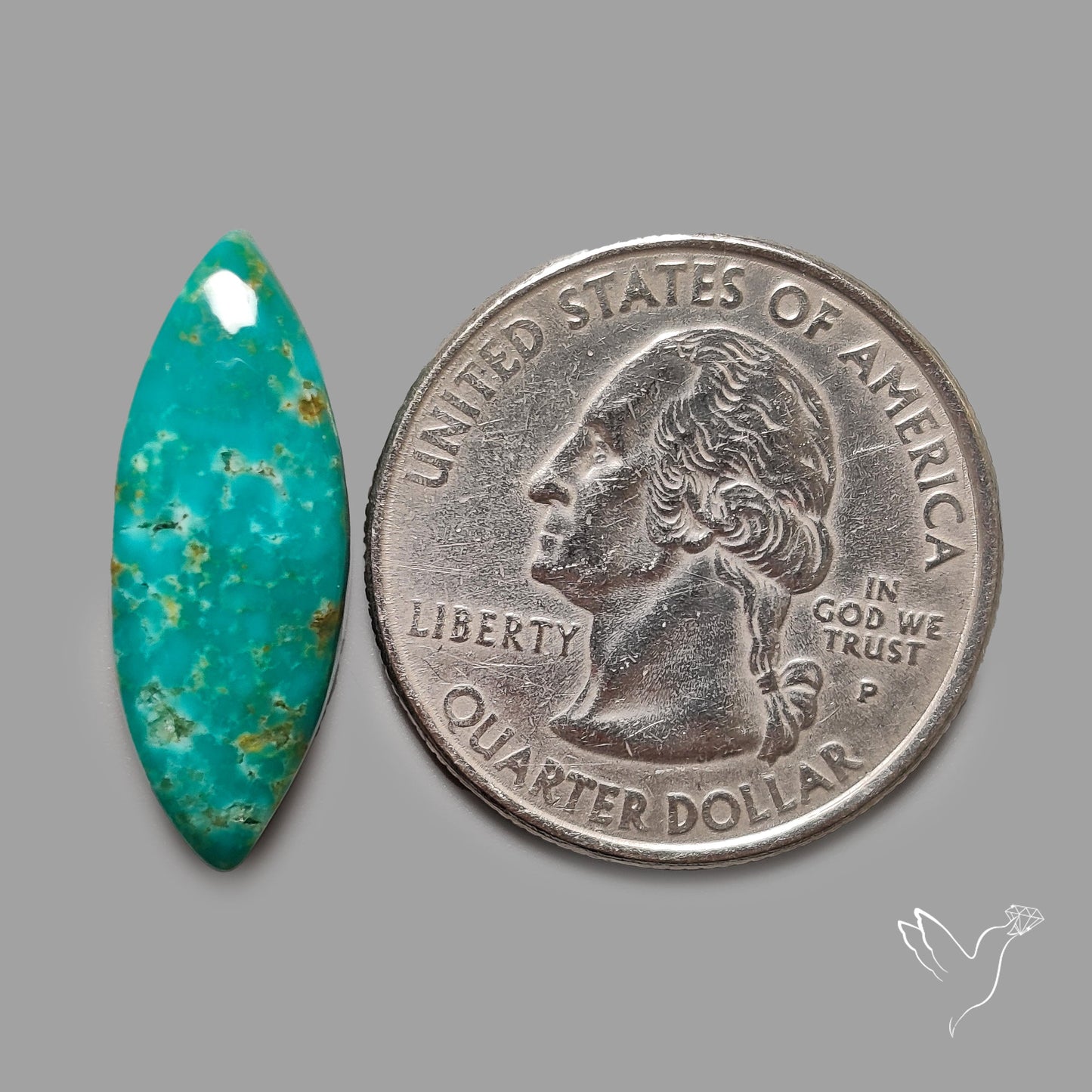 Rare Arizona Patogonia Turquoise Cabochon