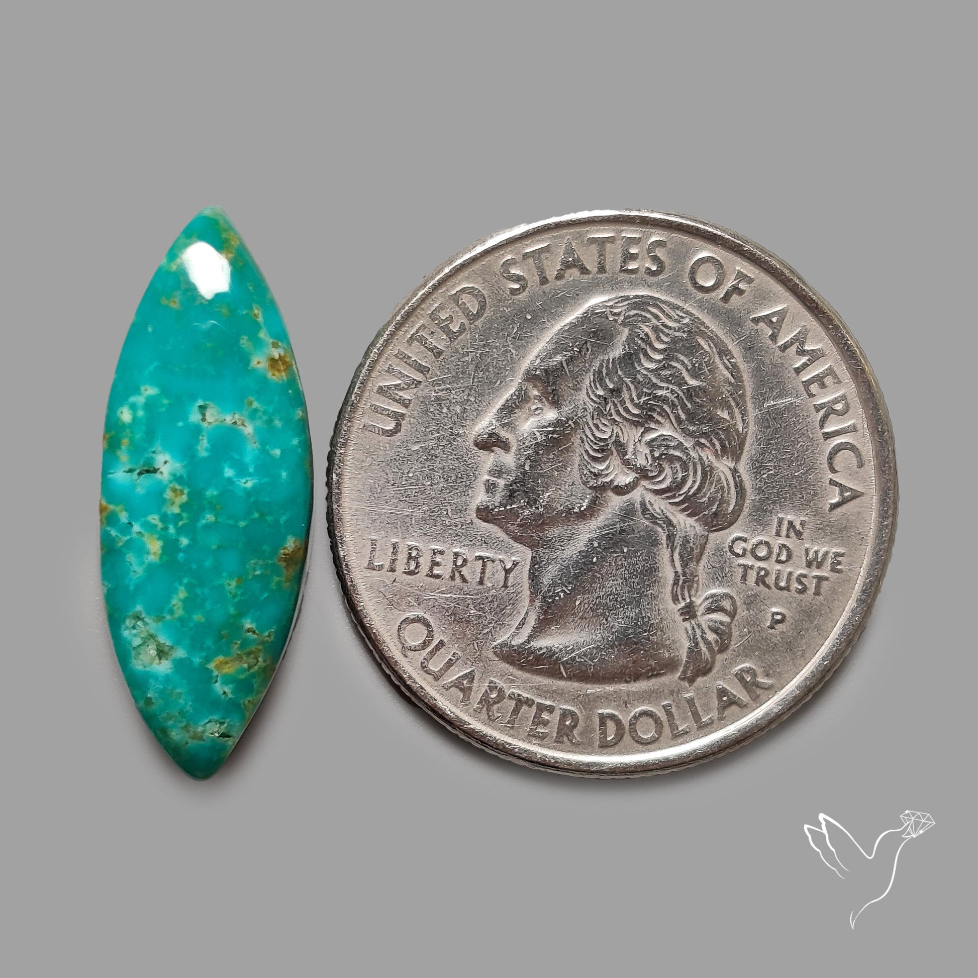 Rare Arizona Patogonia Turquoise Cabochon