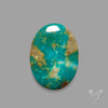 Rare Arizona Patogonia Turquoise Cabochon
