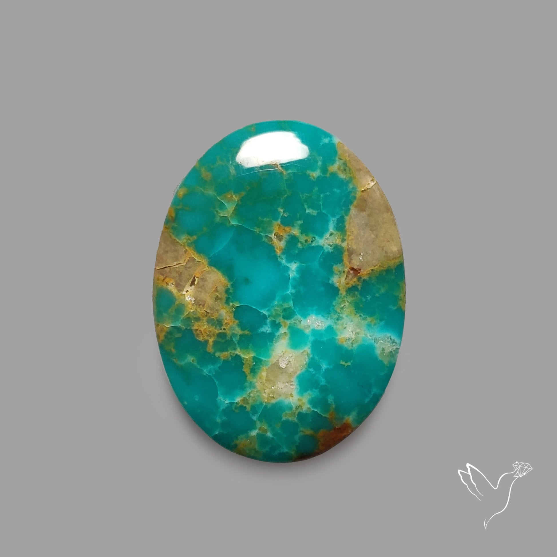 Rare Arizona Patogonia Turquoise Cabochon