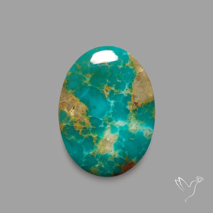 Rare Arizona Patogonia Turquoise Cabochon