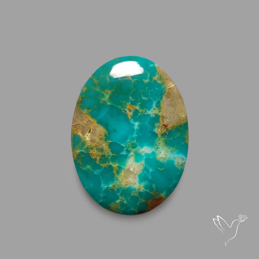 Rare Arizona Patogonia Turquoise Cabochon
