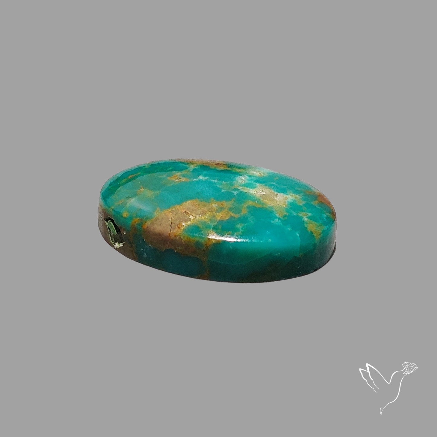 Rare Arizona Patogonia Turquoise Cabochon