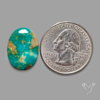 Rare Arizona Patogonia Turquoise Cabochon