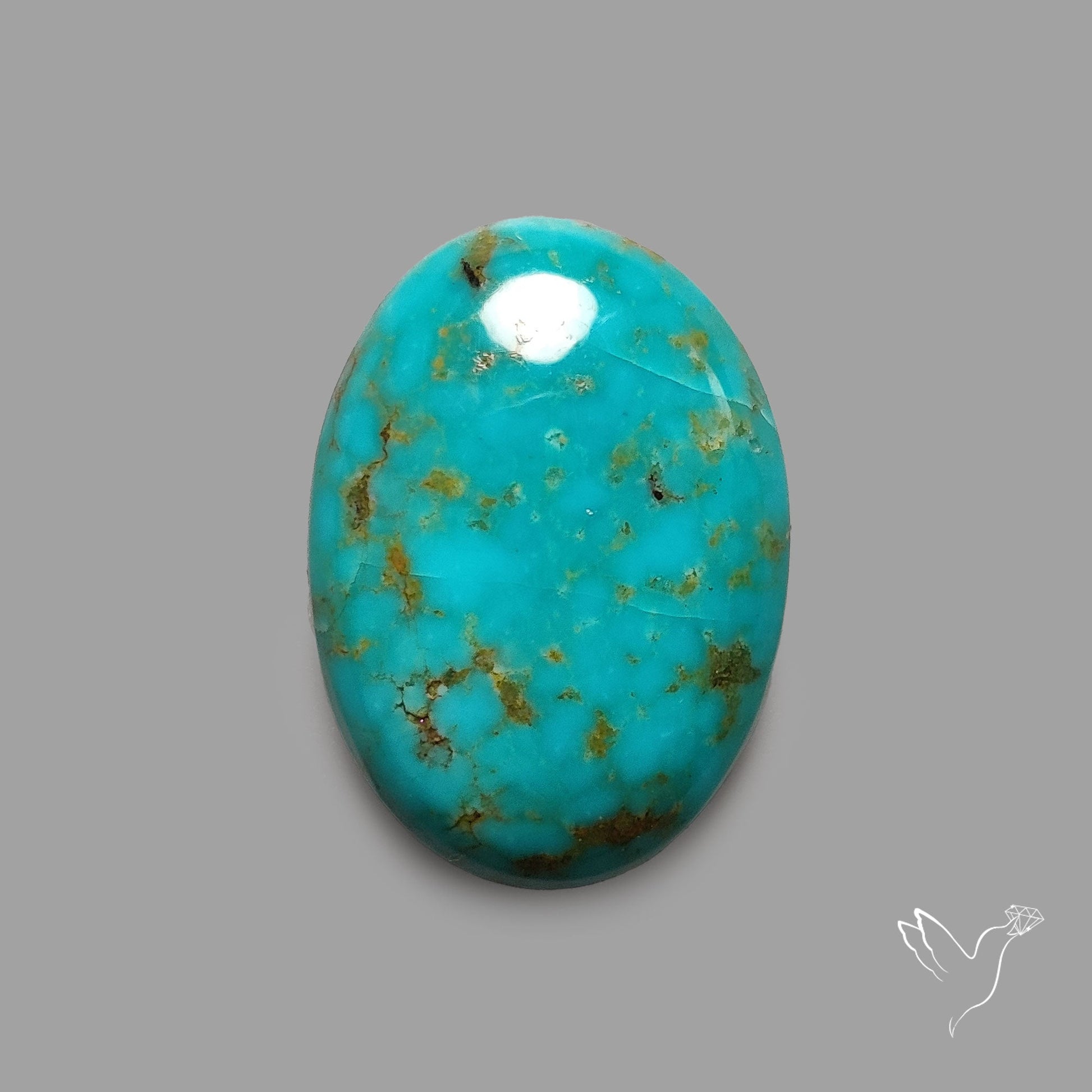Rare Arizona Patogonia Turquoise Cabochon