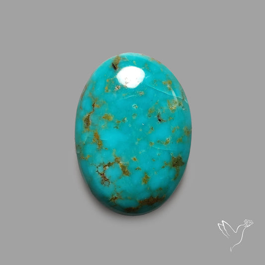 Rare Arizona Patogonia Turquoise Cabochon