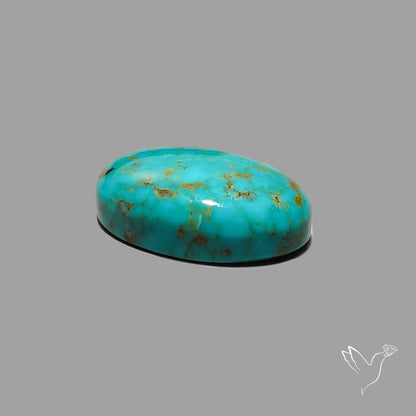 Rare Arizona Patogonia Turquoise Cabochon