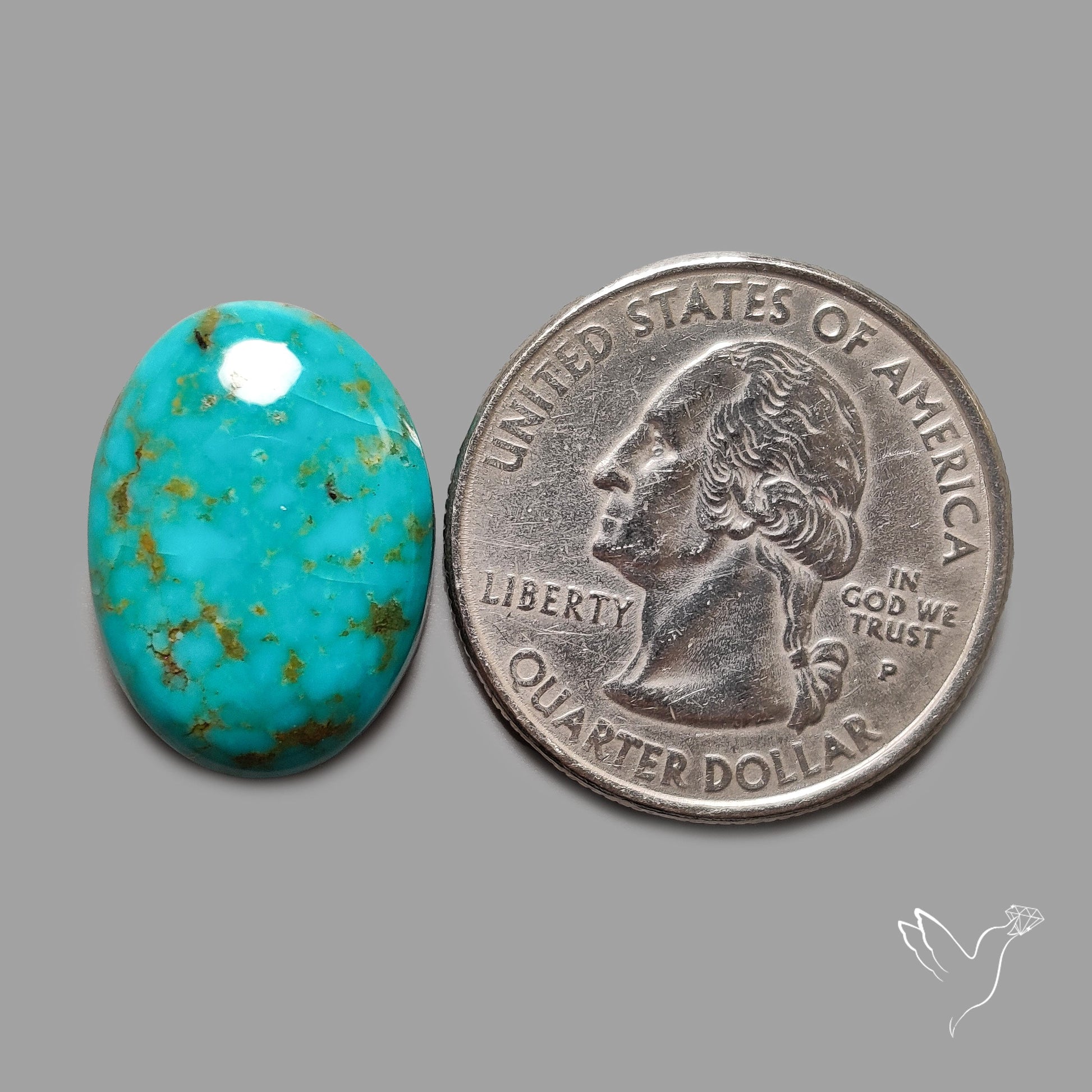 Rare Arizona Patogonia Turquoise Cabochon