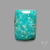 Rare Arizona Patogonia Turquoise Cabochon