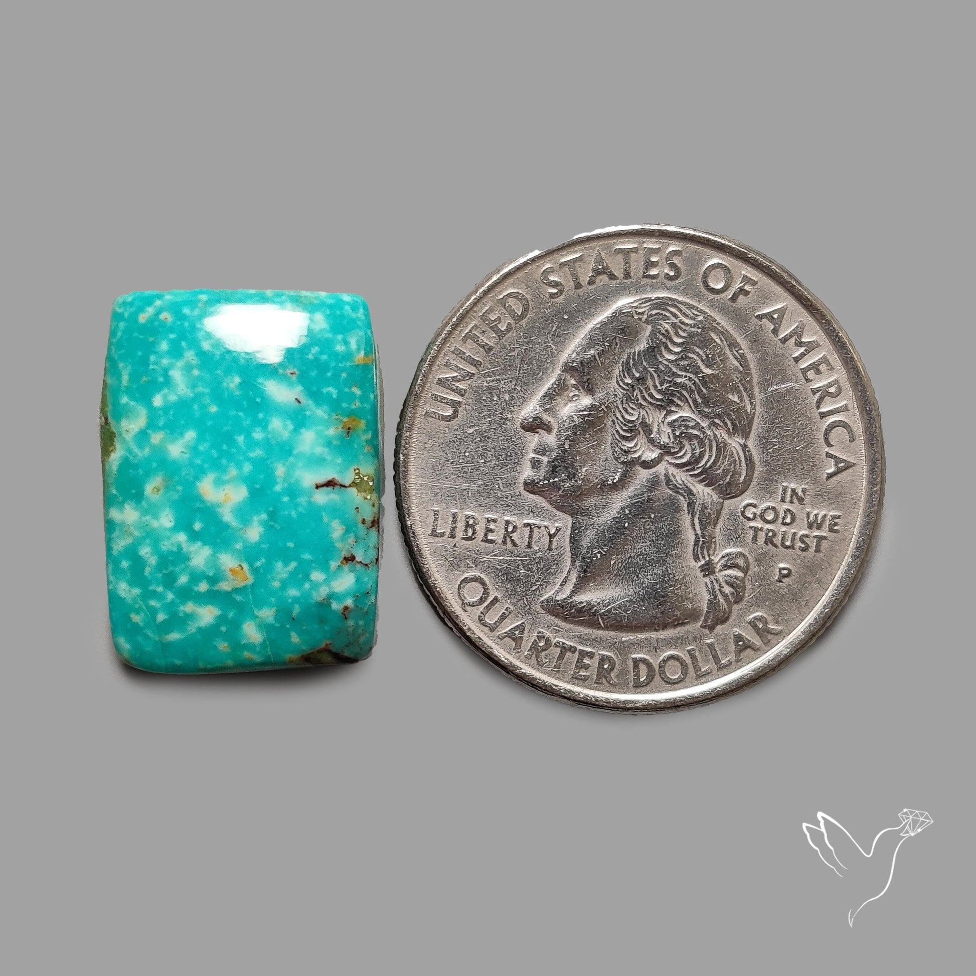 Rare Arizona Patogonia Turquoise Cabochon