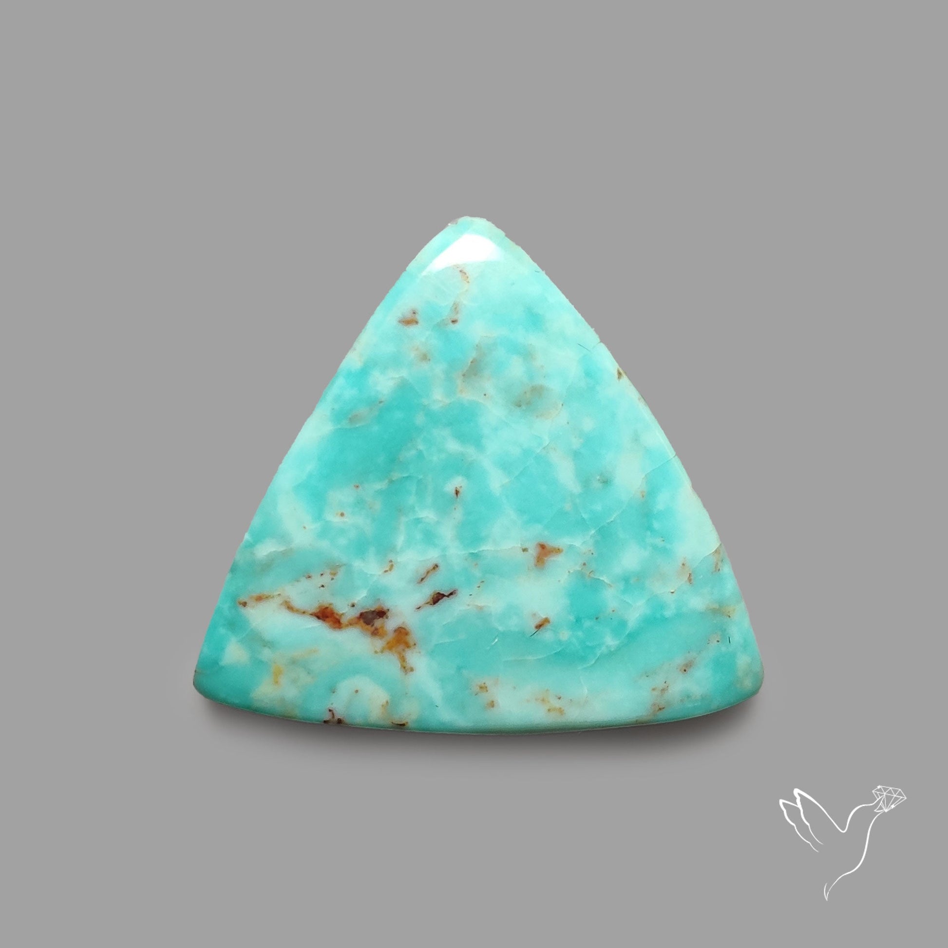 Rare Arizona Patogonia Turquoise Cabochon