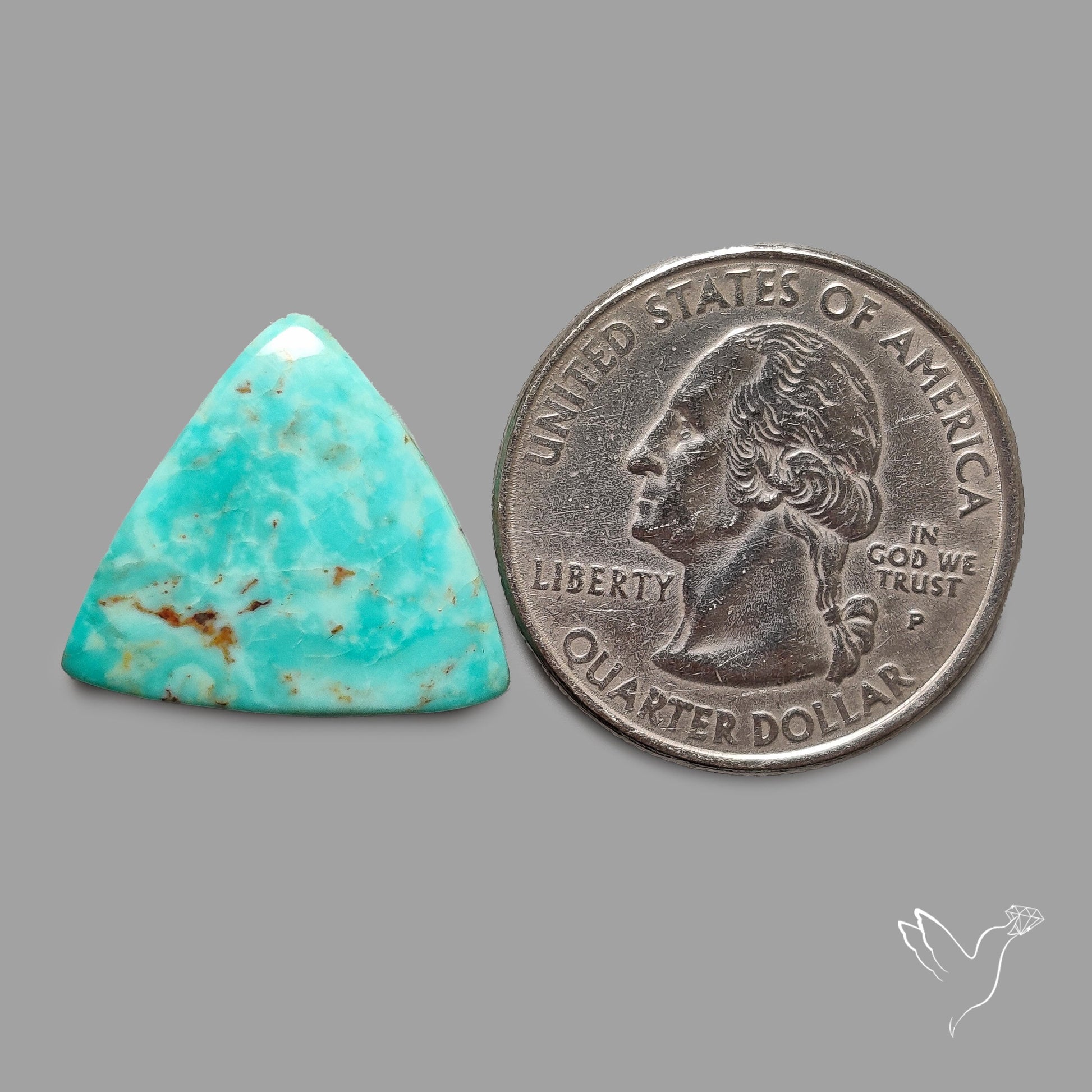 Rare Arizona Patogonia Turquoise Cabochon