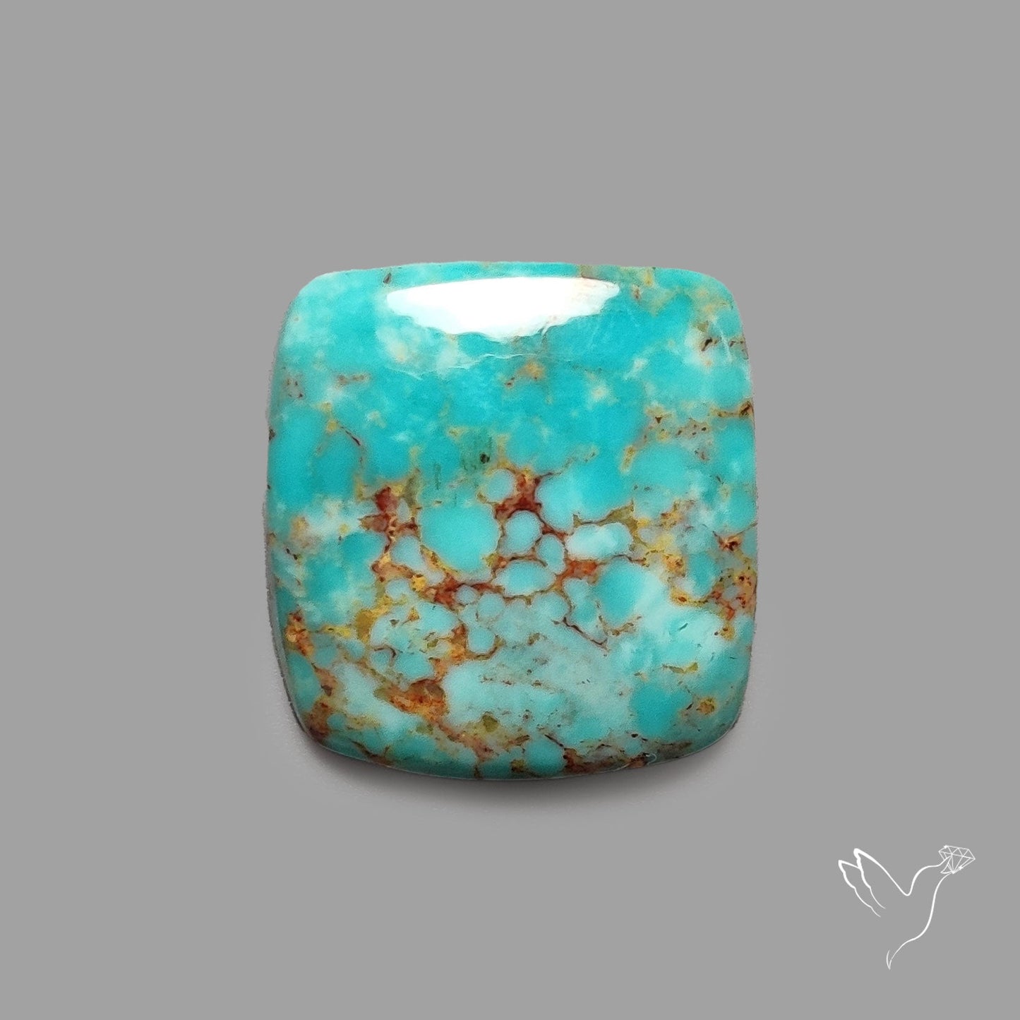 Rare Arizona Patogonia Turquoise Cabochon