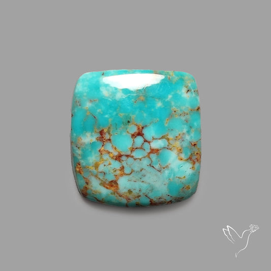 Rare Arizona Patogonia Turquoise Cabochon
