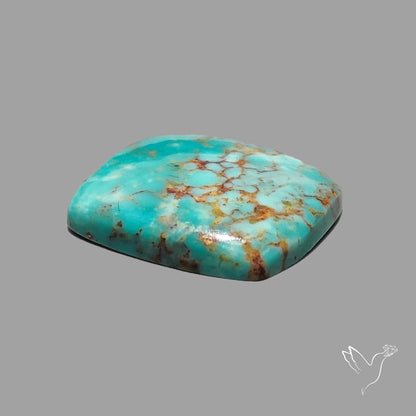 Rare Arizona Patogonia Turquoise Cabochon