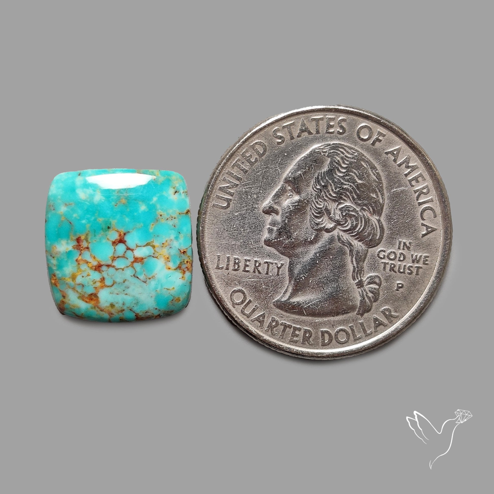 Rare Arizona Patogonia Turquoise Cabochon