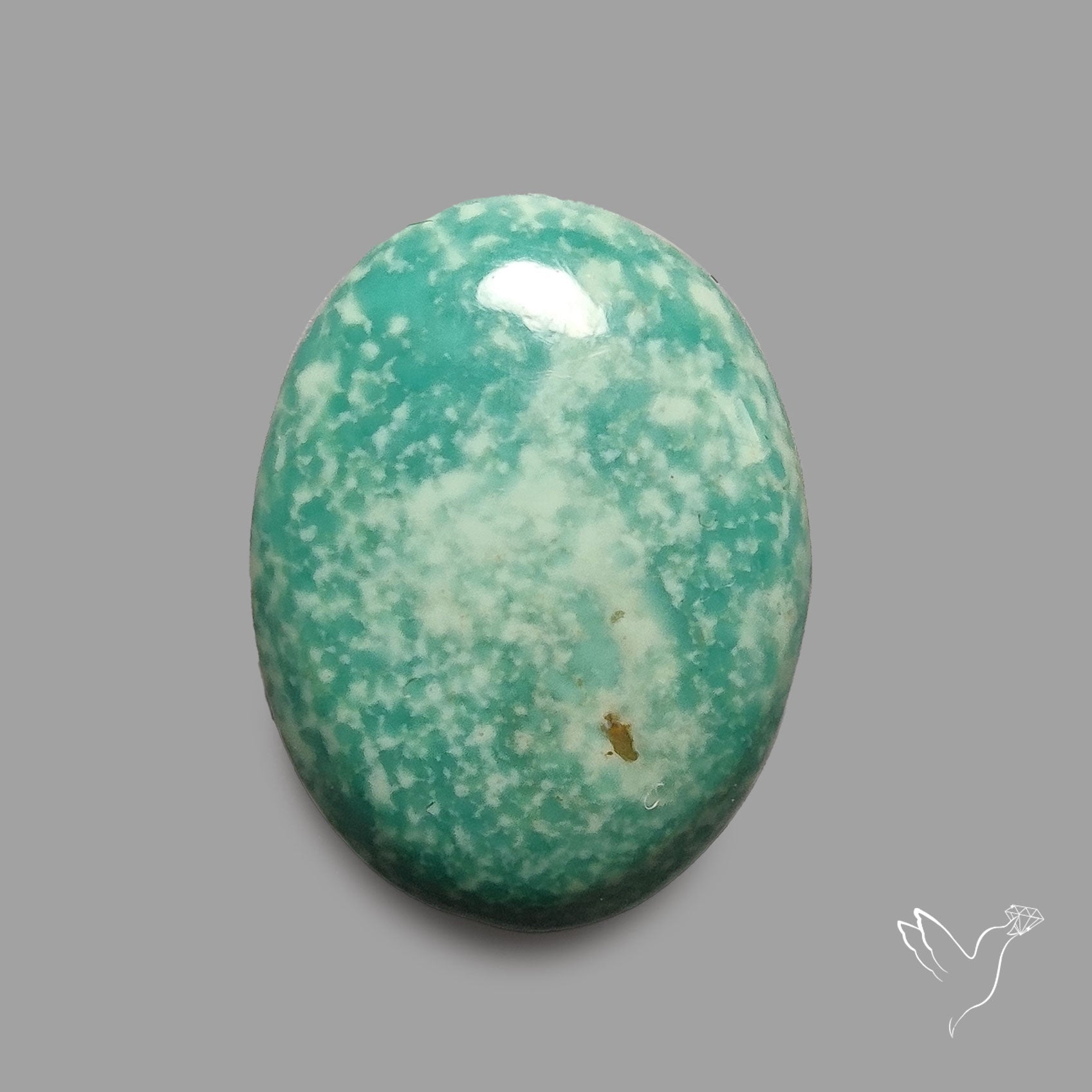 Rare Arizona Patogonia Turquoise Cabochon
