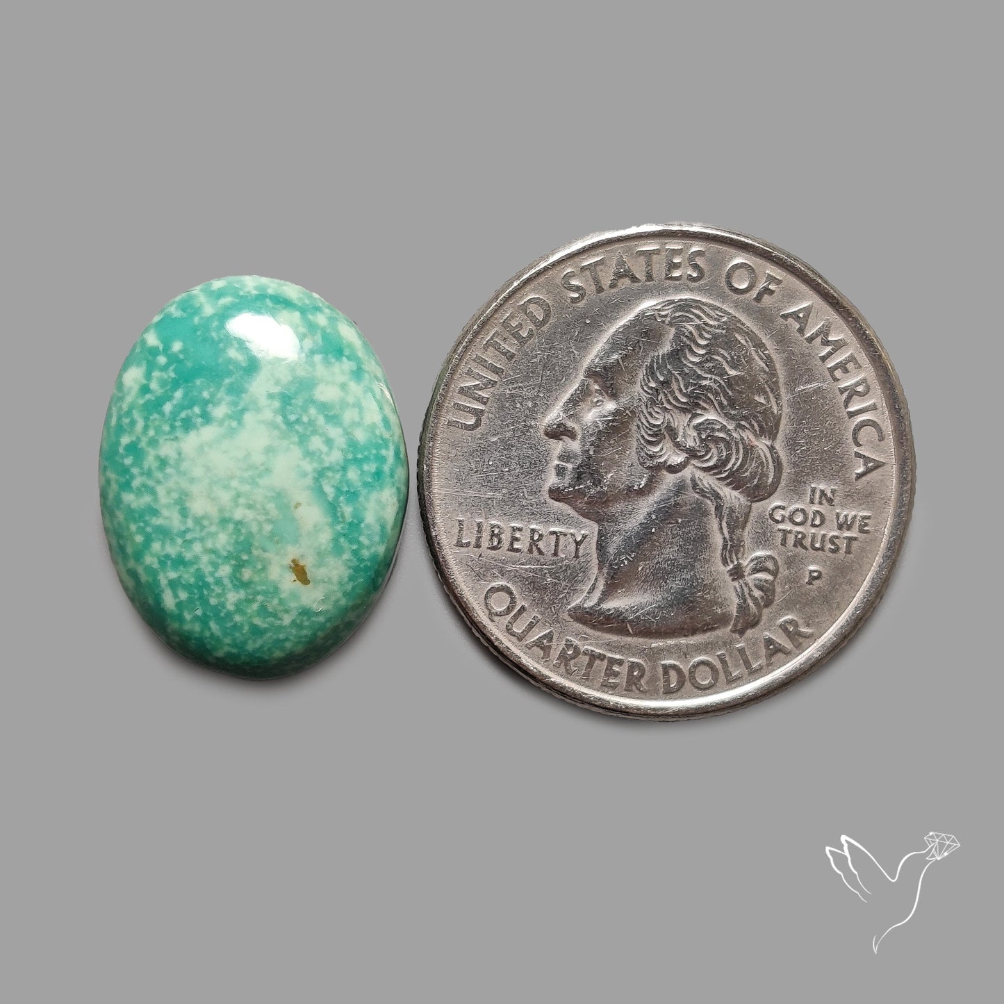 Rare Arizona Patogonia Turquoise Cabochon