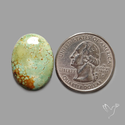 Rare Arizona Patogonia Turquoise Cabochon