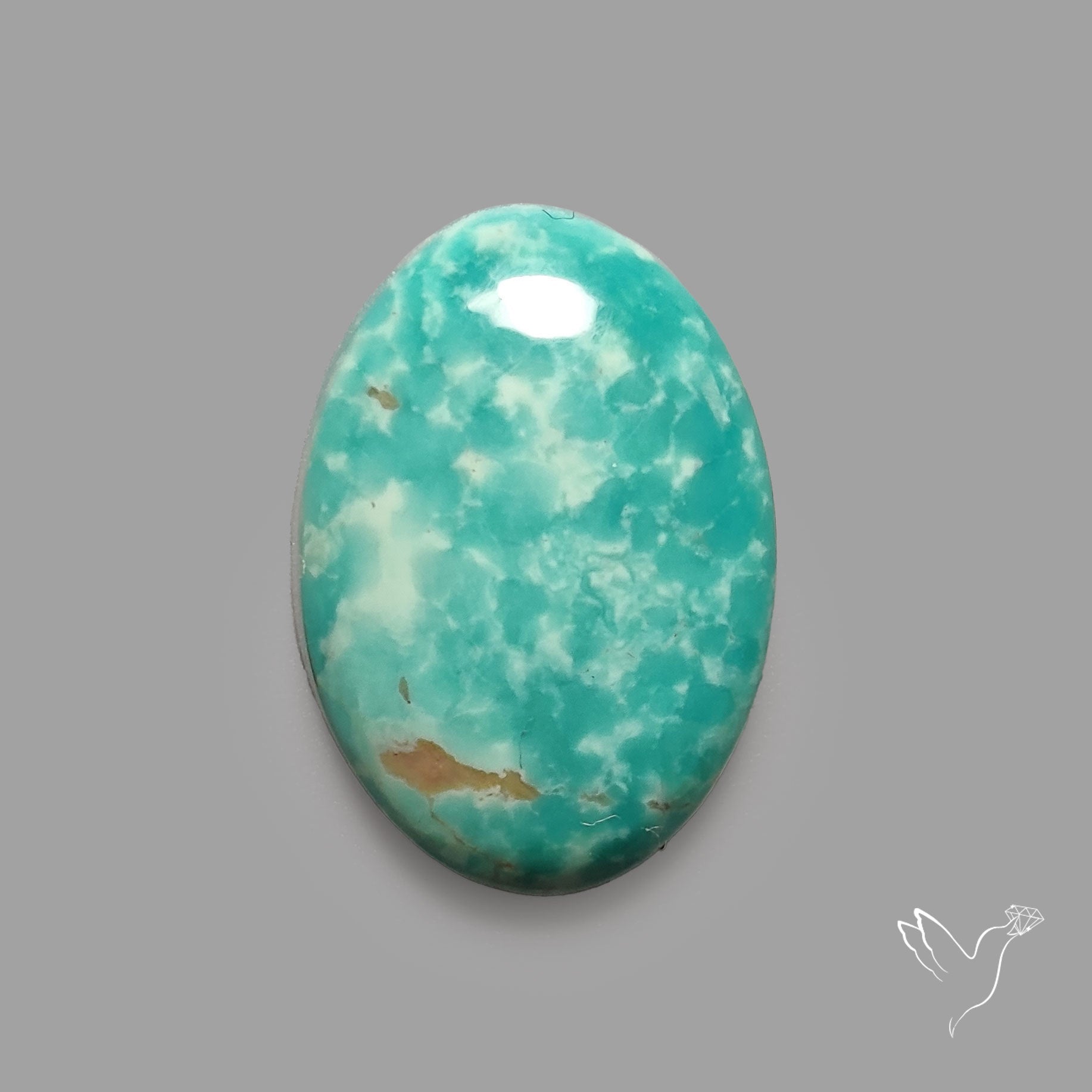 Rare Arizona Patogonia Turquoise Cabochon