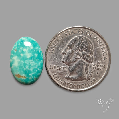 Rare Arizona Patogonia Turquoise Cabochon