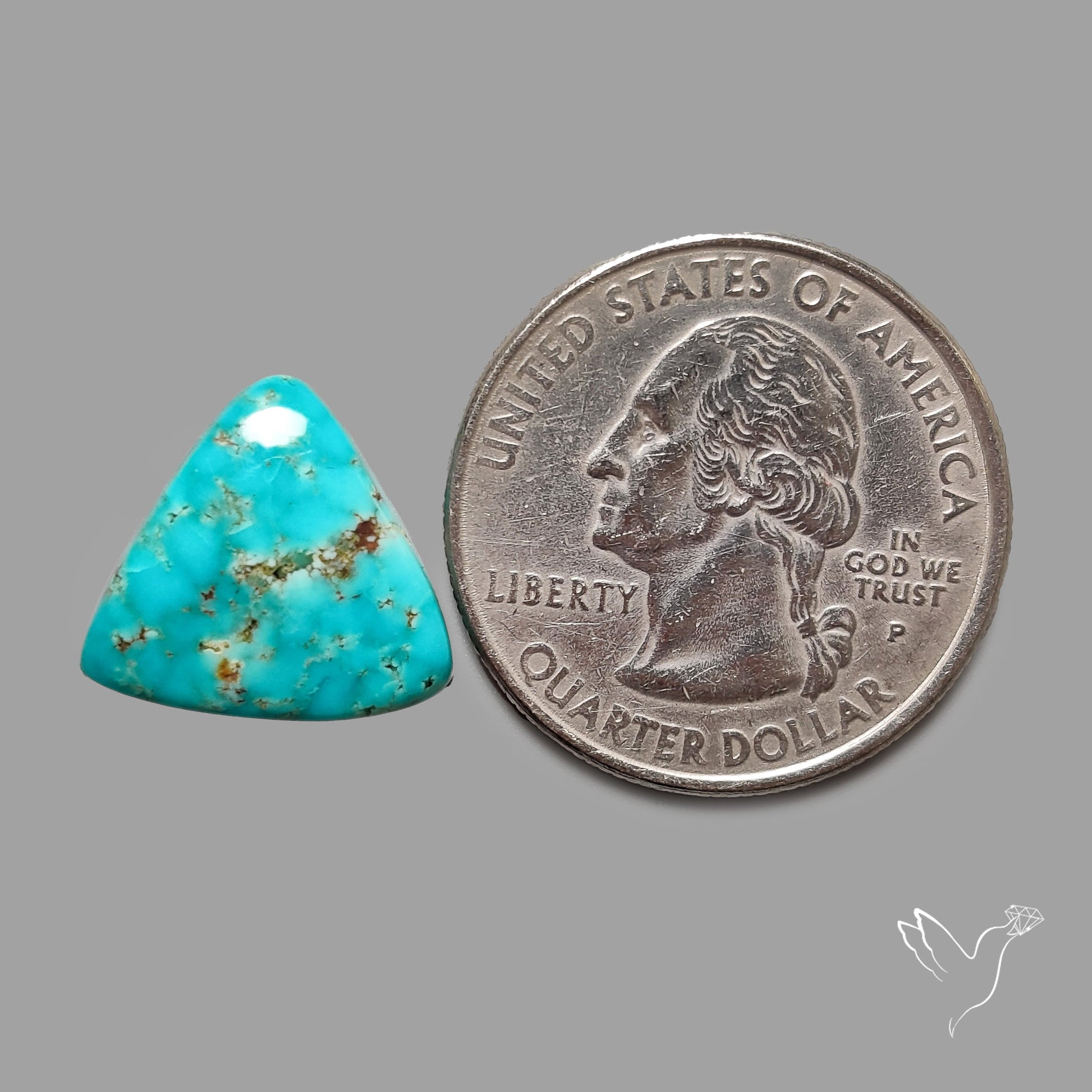 Rare Arizona Patogonia Turquoise Cabochon