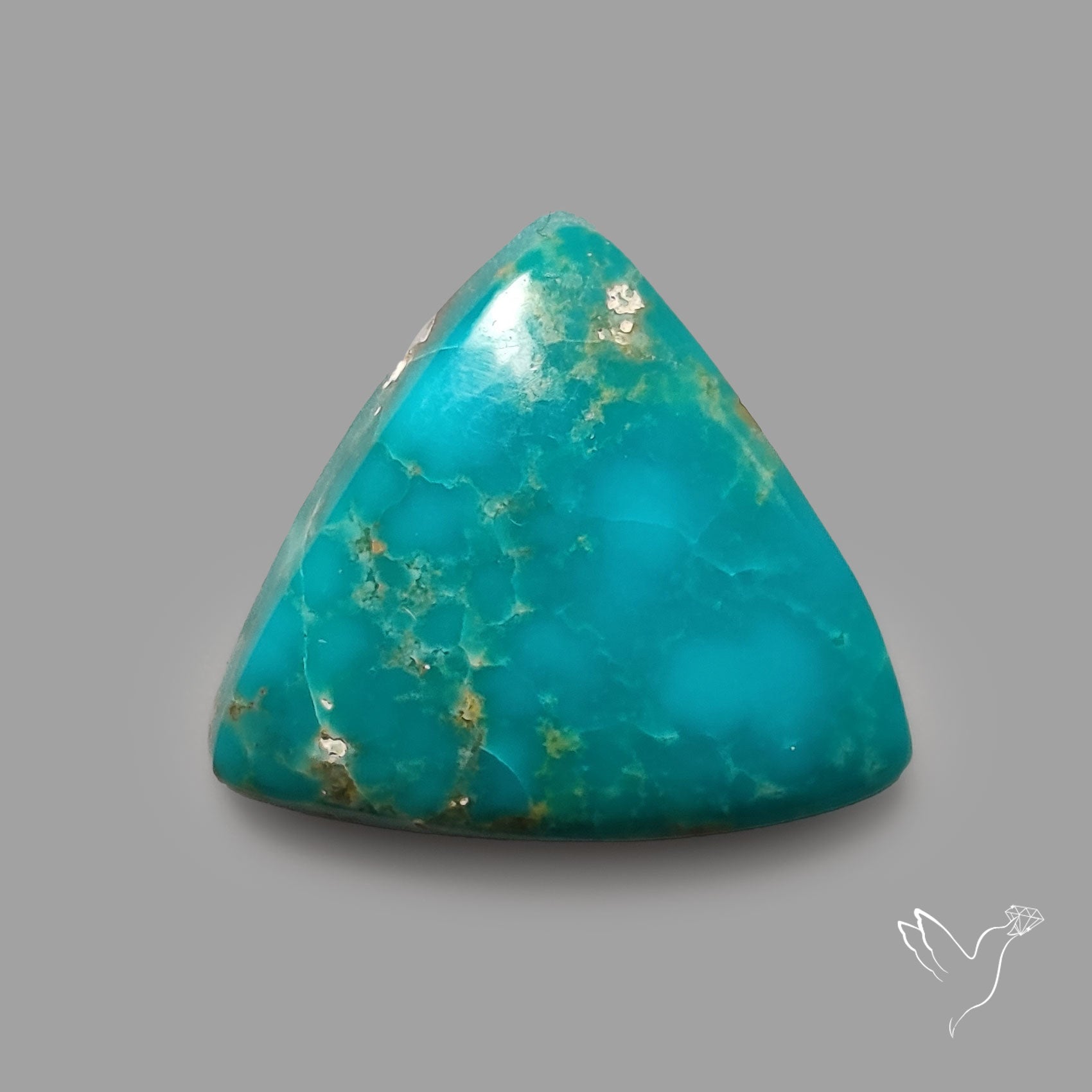 Rare Arizona Patogonia Turquoise Cabochon