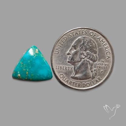 Rare Arizona Patogonia Turquoise Cabochon