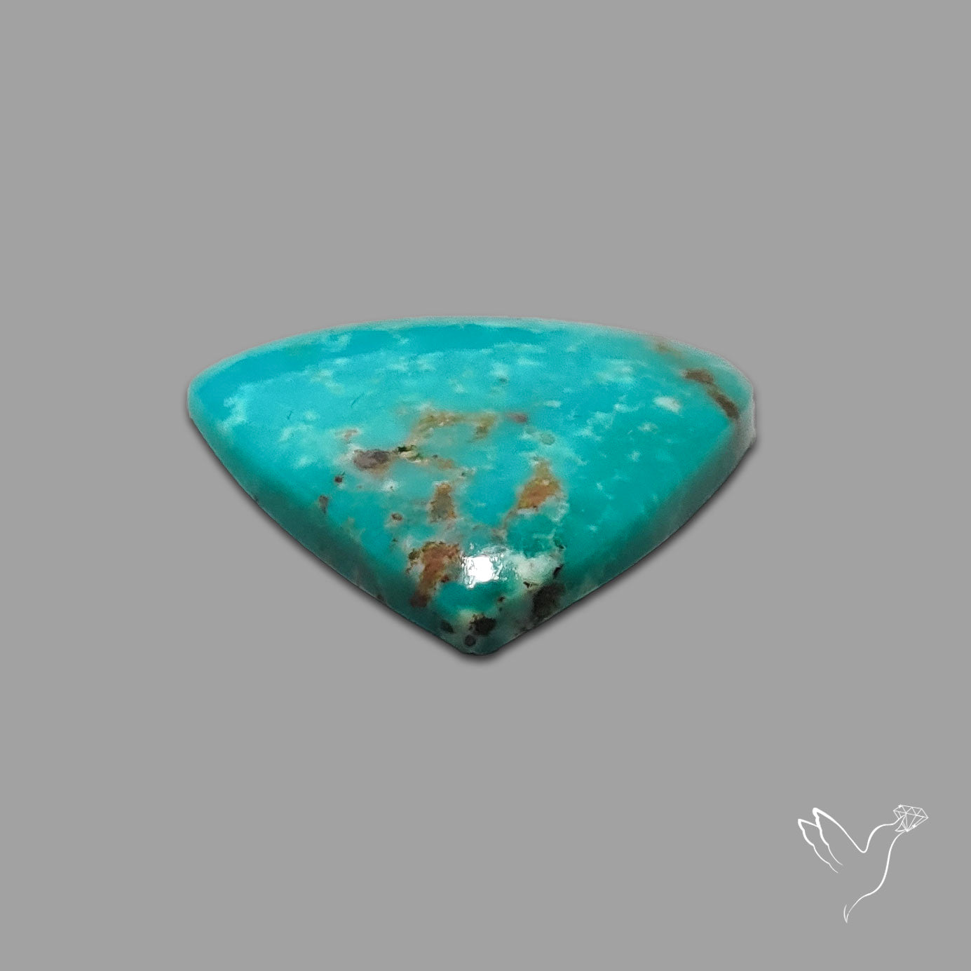 Rare Arizona Patogonia Turquoise Cabochon