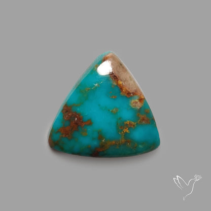 Rare Arizona Patogonia Turquoise Cabochon