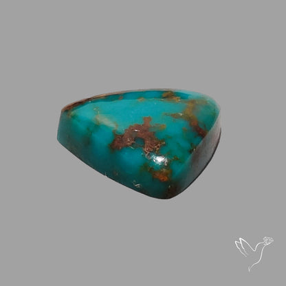 Rare Arizona Patogonia Turquoise Cabochon