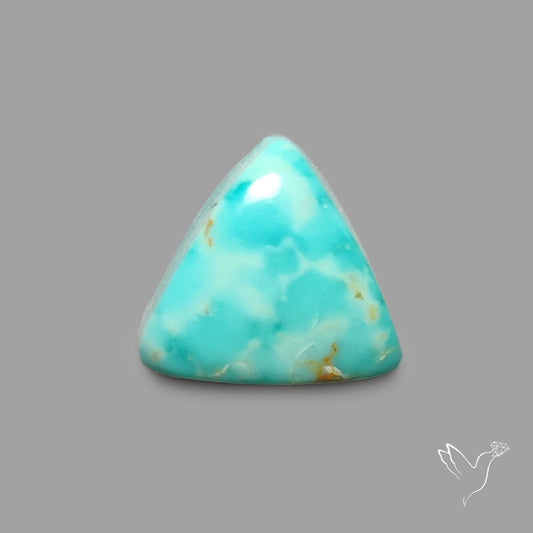 Rare Arizona Patogonia Turquoise Cabochon