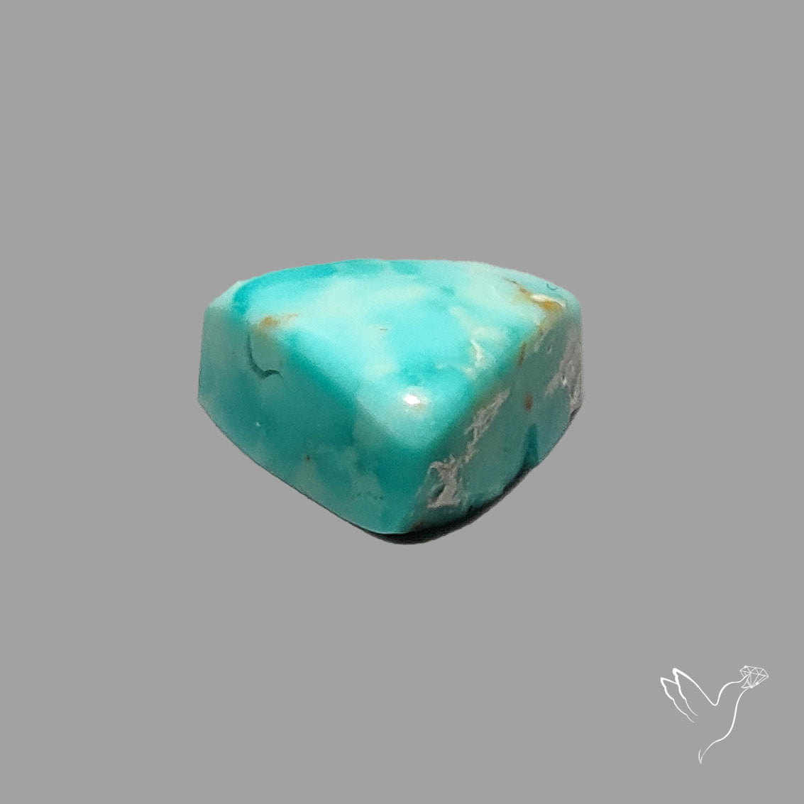 Rare Arizona Patogonia Turquoise Cabochon