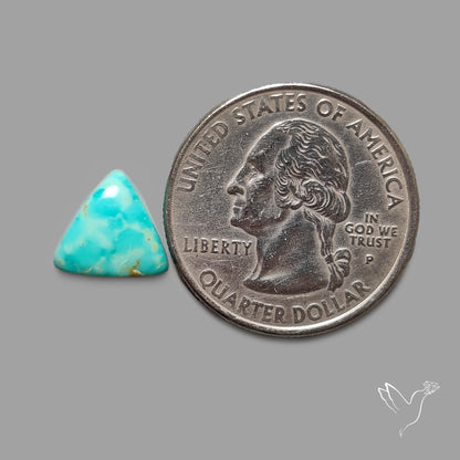 Rare Arizona Patogonia Turquoise Cabochon