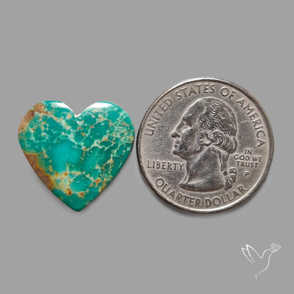 Rare Arizona Patogonia Turquoise Heart Cabochon Carving