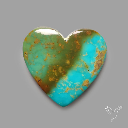 Rare Arizona Patogonia Turquoise Heart Cabochon Carving