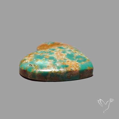 Rare Arizona Patogonia Turquoise Heart Cabochon Carving