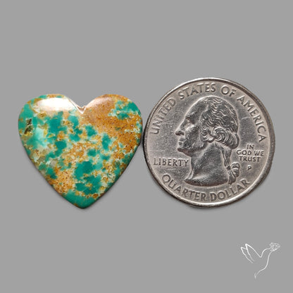 Rare Arizona Patogonia Turquoise Heart Cabochon Carving
