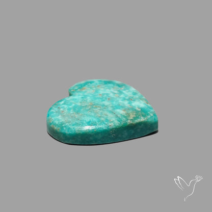 Rare Arizona Patogonia Turquoise Heart Cabochon Carving