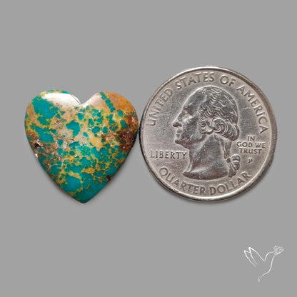 Rare Arizona Patogonia Turquoise Heart Cabochon Carving