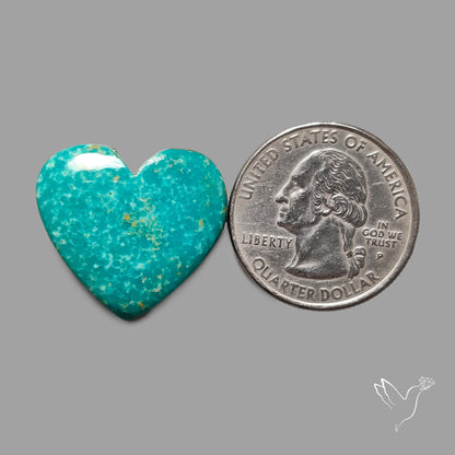 Rare Arizona Patogonia Turquoise Heart Cabochon Carving