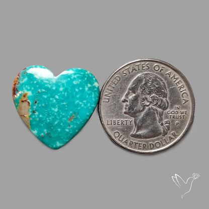 Rare Arizona Patogonia Turquoise Heart Cabochon Carving