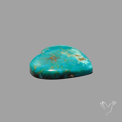 Rare Arizona Patogonia Turquoise Heart Cabochon Carving