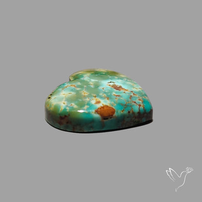 Rare Arizona Patogonia Turquoise Heart Cabochon Carving
