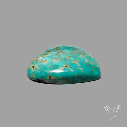Rare Arizona Patogonia Turquoise Heart Cabochon Carving