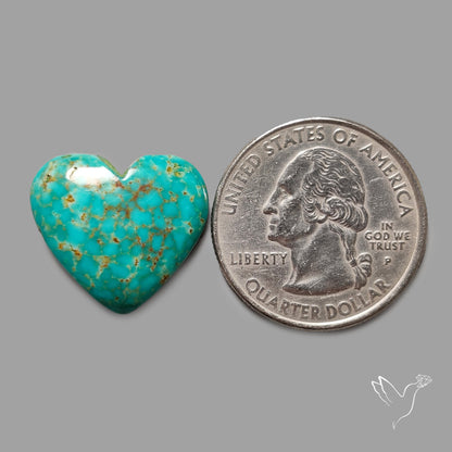 Rare Arizona Patogonia Turquoise Heart Cabochon Carving