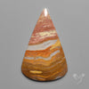 Arizona Petrified Wood Cabochon